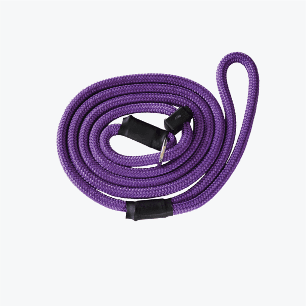 Dog Slip Lead 8mm Purple